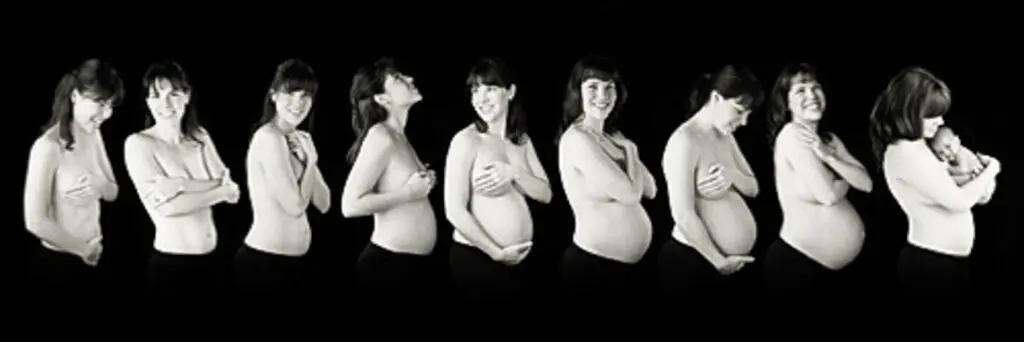 Evolution Grossesse en photo